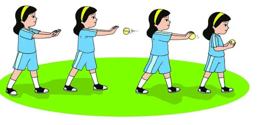 cara menangkap bola dalam permainan kasti